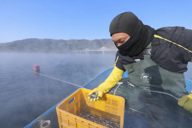 ▲ 6일 한파의 영향으로 물안개가 피어난 인제 소양호에서 어부가 조업을 하고 있다.인제군 제공