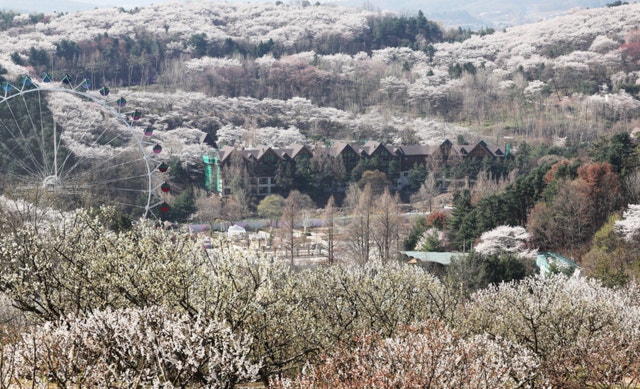 토요일 맑은 봄날씨…남부지방 오후부터 구름 많아져 관련 대표 이미지