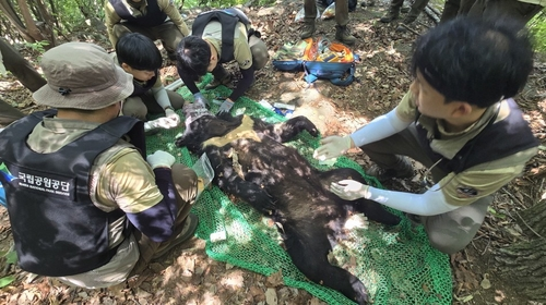 열네번이나 범행, 지리산 '꿀 도둑' 결국…
