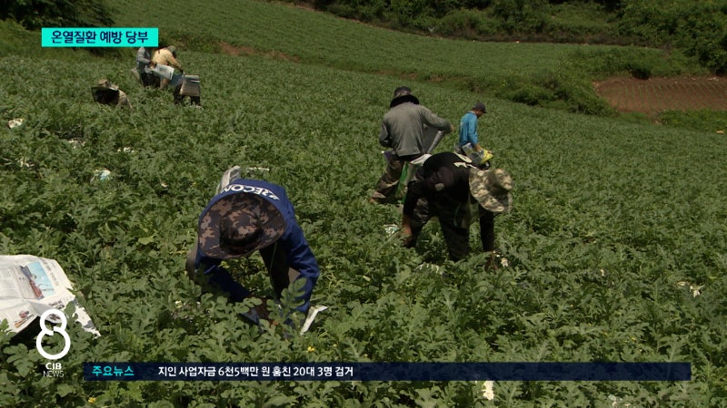 기록적 <b>폭염</b>에 <b>온열질환자 속출</b>..."한낮엔 쉬세요"