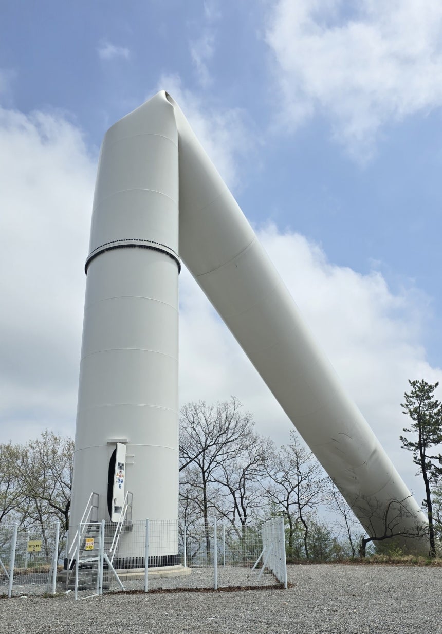 사진 = 뉴시스 (독자 제공)