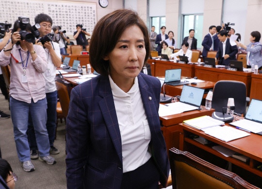 <b>나경원</b> "<b>경기도지사</b> 출마설 정중히 <b>사양</b>… 도민에 예의 아냐"