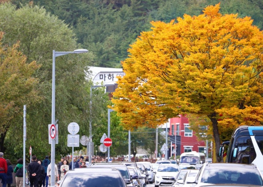 <b>수능 예비 소집</b>일 낮 따뜻…<b>일교차</b> 15도 안팎