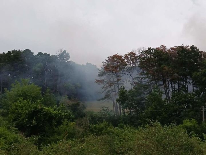 대전 유성구 대동 야산서 산불… 인명피해 없어