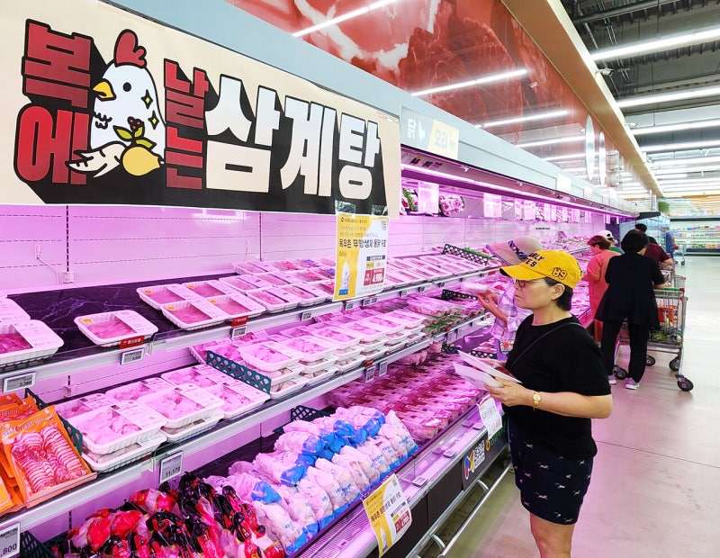 초복 삼계탕 직접 끓이면 8800원, 사 먹으면 1만 8000원