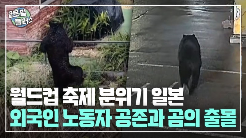 [글로벌+] 월드컵 축제 분위기 일본···외국인 노동자 공존과 곰의 출몰