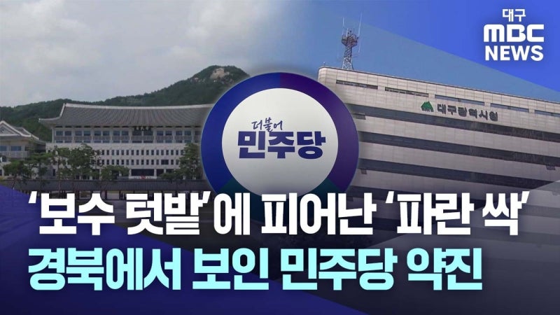 '보수 텃밭'에 핀 '파란 싹'···경북에 보인 민주당 약진