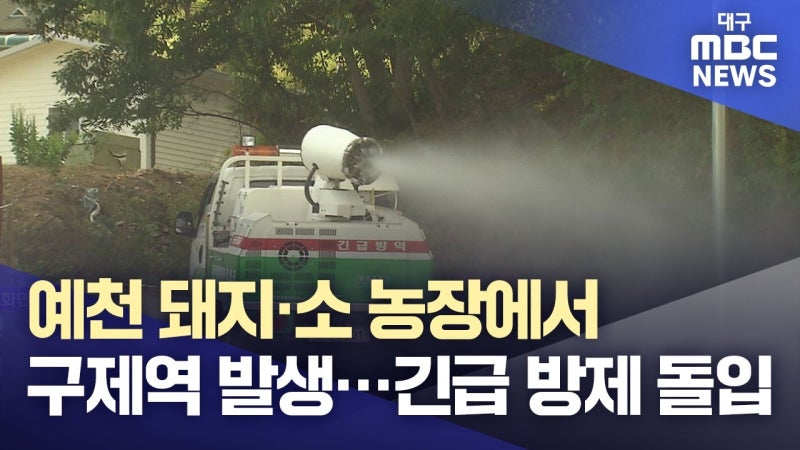 경북 예천 돼지·소 농장에서 구제역 발생···안동·영주·상주·문경·의성·충북 단양, '심각' 단계