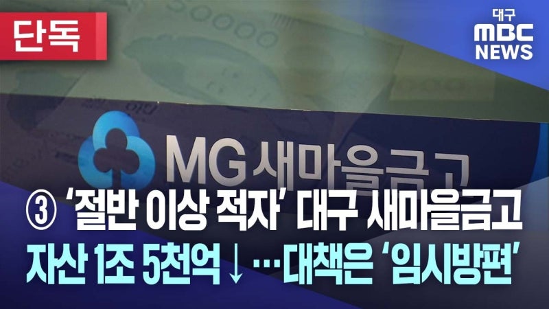 [단독] ③ 대구 새마을금고 '절반 이상 적자'···부실 도미노 '경고등'