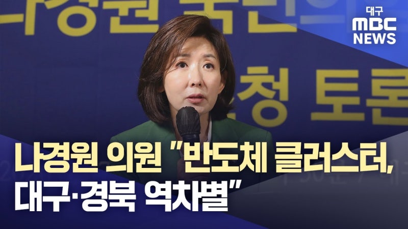 나경원 의원 "호남에 반도체 클러스터?···대구·경북 역차별"