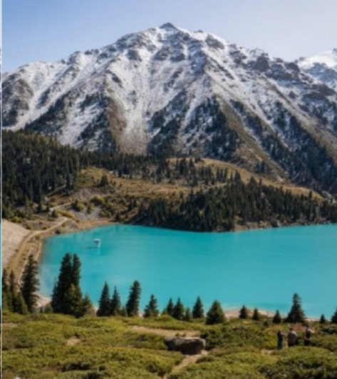 카자흐스탄 경제 동맹, 지속성 논란