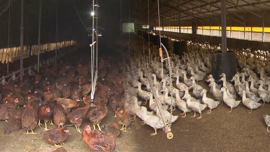 [전주MBC자료사진]