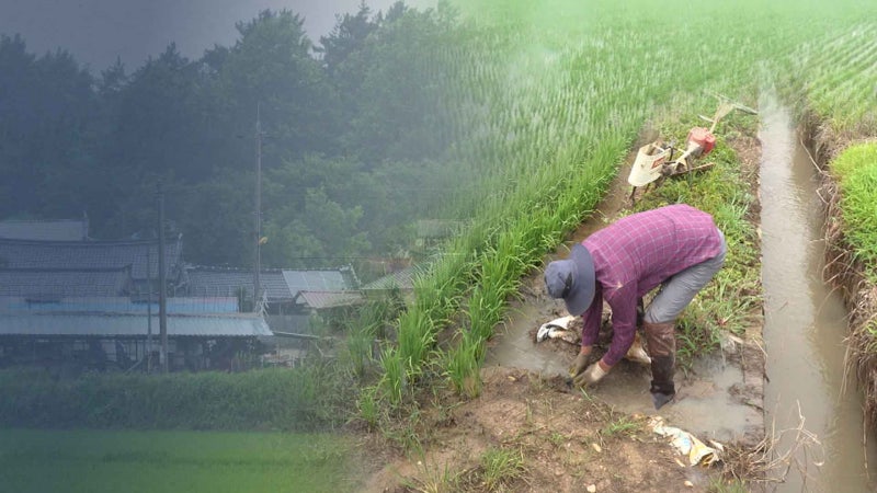 반가운 '지각 장맛비'.. 마른 저수지에 걱정은 '여전'