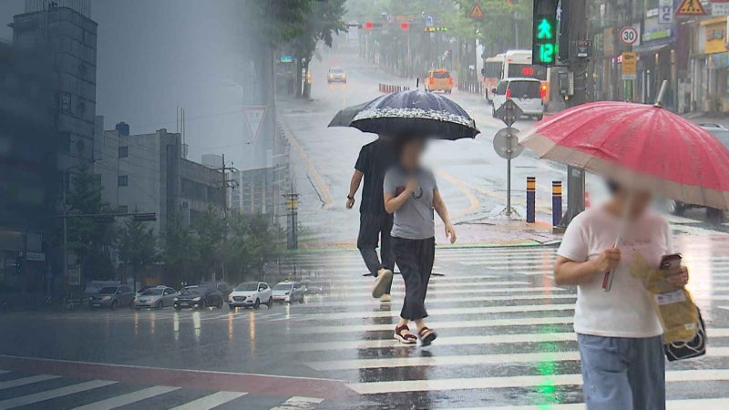 하루 종일 게릴라성 폭우.. 새벽에 시간당 최고 80mm 물벼락