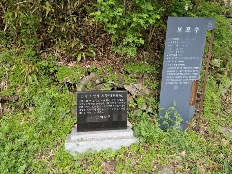 ▲ 임시로 시신을 매장했던 초장지