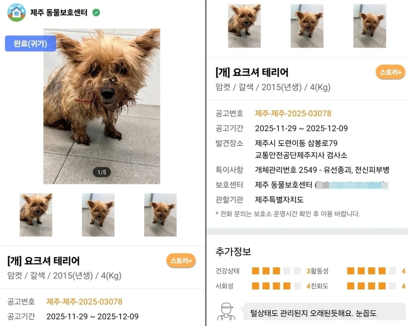 ▲ 6년 전 실종된 반려견 '니루'...현재는 '완료(귀가)인 상태 [포인핸드 홈페이지]