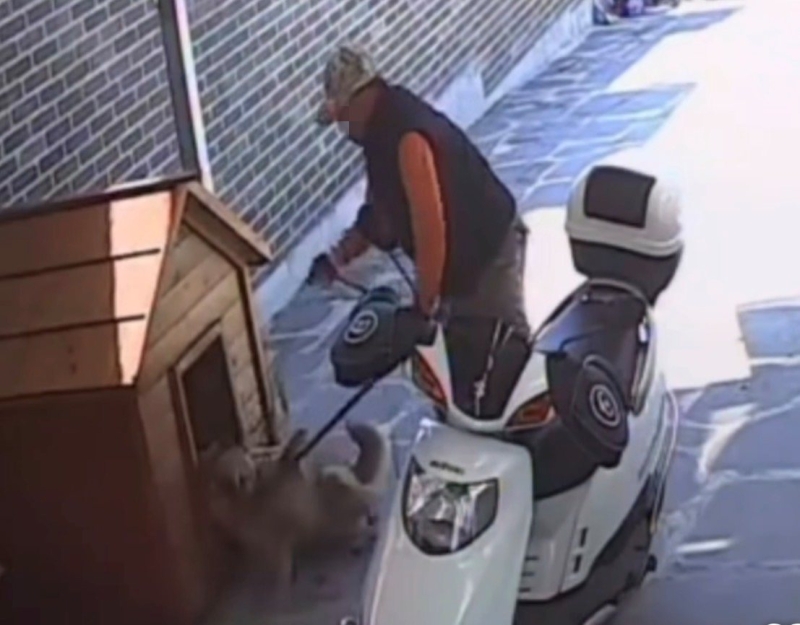 ▲ 무단 침입해 반려견 끌고 가는 A씨 [연합뉴스]