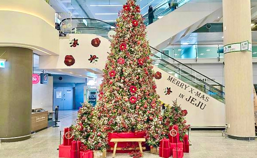 제주국제공항 도착장 중앙 메인홀에 설치된 대형 카멜리아 크리스마트 트리.