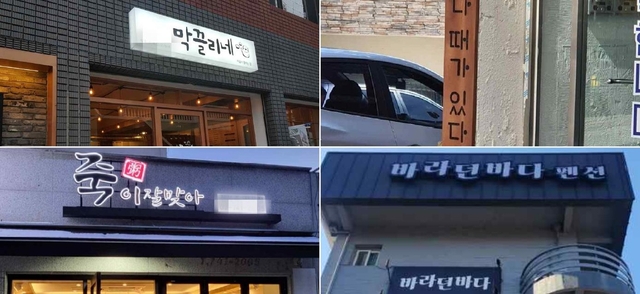 막끌리네 이미지