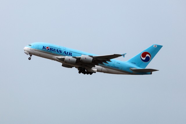 “3·1절 연휴에 일본으로”…일본행 <b>항공권 예약</b>률 ‘고공비행’