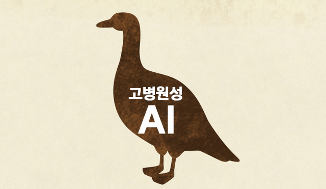 음성 오리농장 <b>고병원성</b> AI 확진…올가을 2번째