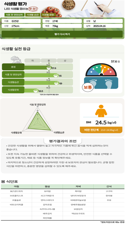 청소년용 식생활평가 서비스 결과(예시).농촌진흥청