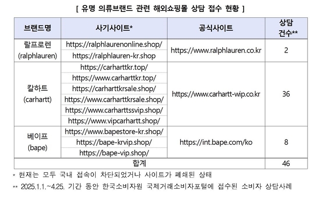 사기 피해가 발생한 가짜 쇼핑몰은 현재 국내 접속이 차단됐다.소비자원