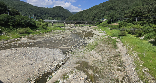 12일 강원 강릉시 주 상수원인 오봉저수지 저수율이 역대 최저치인 25.4%까지 낮아진 가운데 저수지 중·상류 지역이 잡초가 무성하거나 맨바닥을 드러내고 있다. 연합뉴스