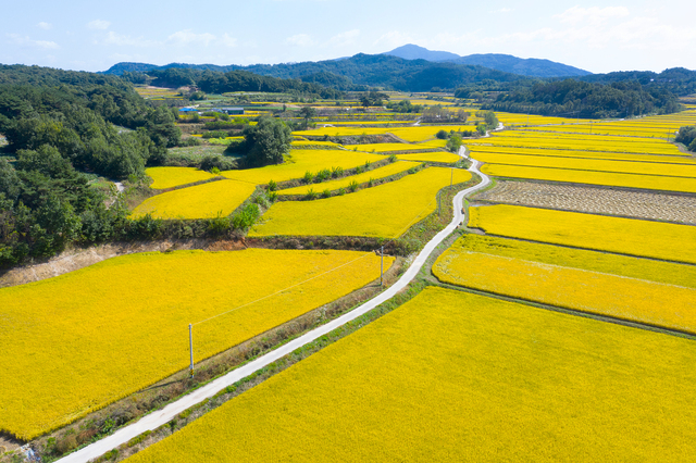 클립아트코리아