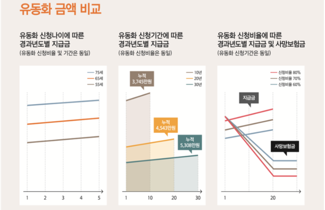 유동화 금액 비교안 3개. 금융위원회