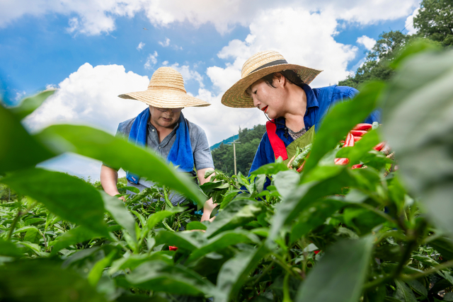 수도권 5060 세대, 일자리만 있다면 지방 귀촌하고 싶대!