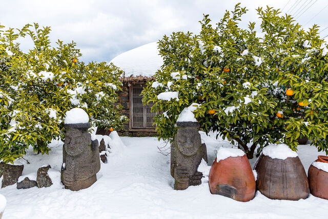 제주도까지 가서…3명중 1명 “식당 방문 대신 배달 이용”