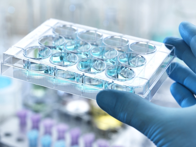 식품의약품안전처가 난소암 치료제‘엘라히어주’를 신속심사 지원체계를 통해 허가했다.사진은 기사의 특정 사실과 관련 없음.클립아트코리아