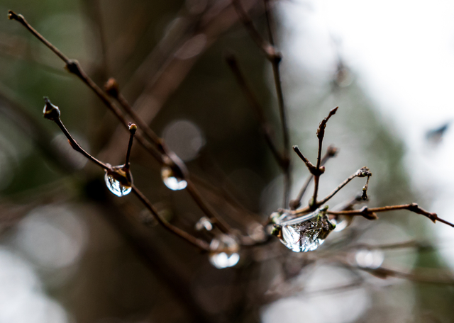 화요일인 23일은 전국 곳곳에 오후부터 비가 내릴 전망이다.클립아트코리아