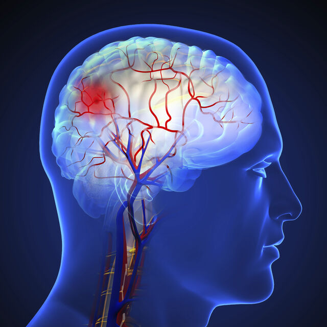 영국 케임브리지대학 연구진은 사람의 뇌가 평생 5단계에 걸쳐 발달과 노화를 거치는 연구 결과를 발표했다.사진은 기사의 특정 사실과 관련 없음.클립아트코리아