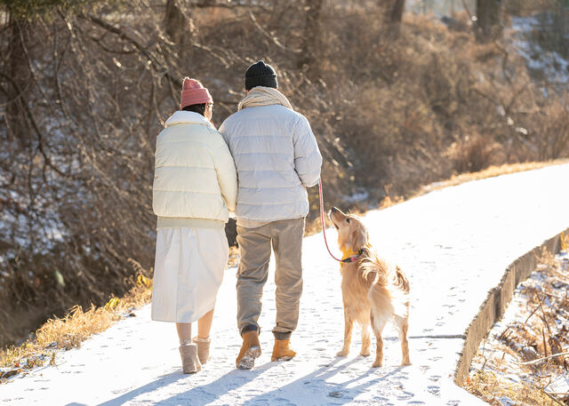 겨울철에는 춥더라도 밖에서 20분간 햇볕을 쬐는 것이 비타민 D 합성에 효과적이다.사진은 기사의 특정 사실과 관련 없음.클립아트코리아