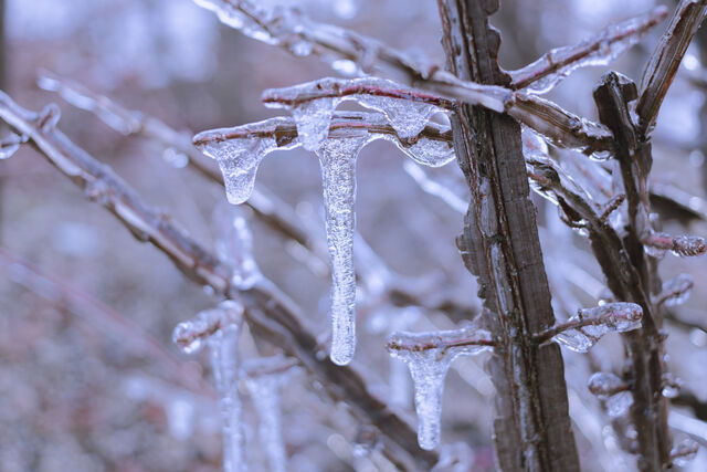 27일 토요일은 전국에 강추위가 이어져 건강에 각별히 유의해야 할 것으로 보인다.클립아트코리아