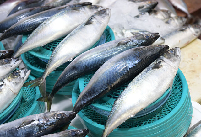 8일인 오늘부터 고등어 가격 할인 행사가 시작된다.이번 할인전에서는 최대 60% 저렴하게 고등어를 구매할 수 있다.클립아트코리아