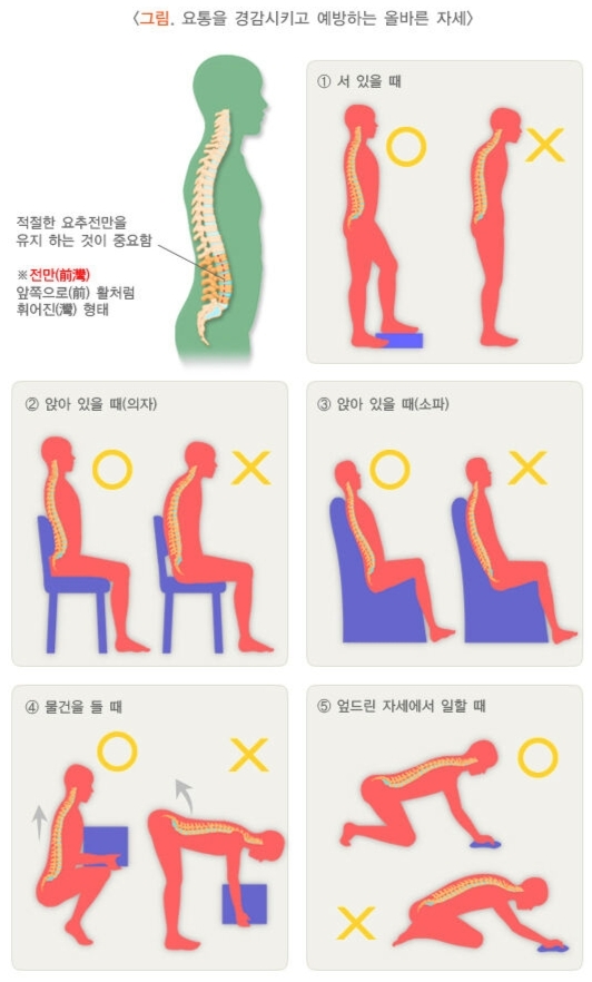 질병관리청 국가건강정보포털