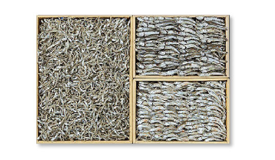 멸치원 경남 통영 건어물 종합세트. 농협몰