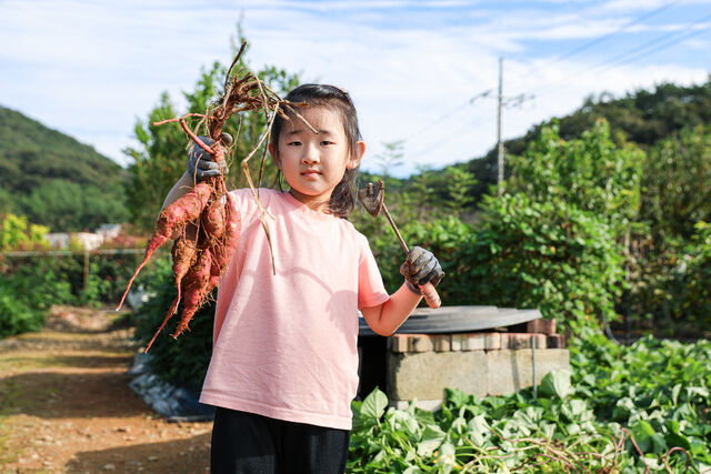 농촌유학은 서울 학생들이 일정 기간 농촌지역 학교로 전학해 생활하며 교육을 받는 프로그램이다. 클립아트코리아