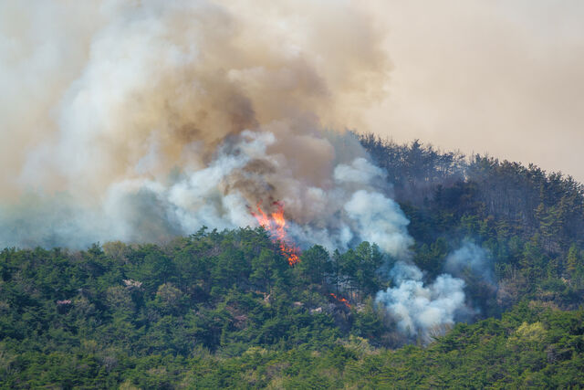 기후변화로 대형 산불이 늘어나는 가운데 산불 연기에 장기간 노출되면 폐암 등 여러 암 위험이 커질 수 있다는 연구 결과가 나왔다.클립아트코리아