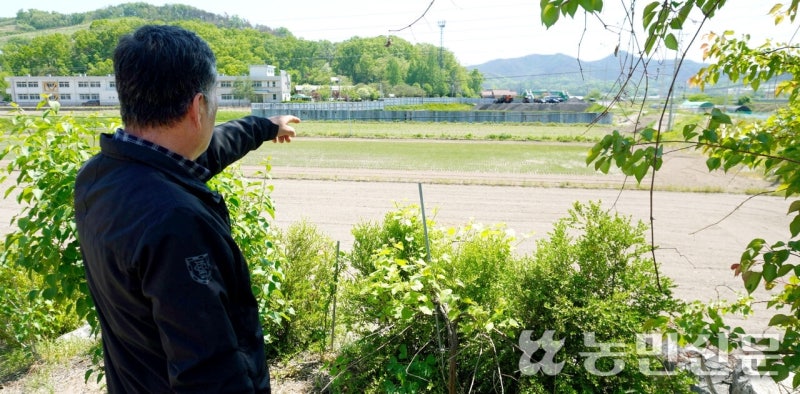 청정 논에 웬 쇳가루 찌꺼기? 지하수 오염 우려에 농민들 '뿔났다'