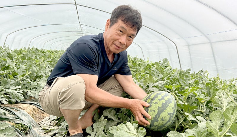 [농업기술 고수를 찾아라] 24㎏ 왕수박 키워 ‘달인’ 등극…비결은?