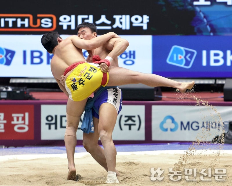 입장료 0원, 몰입도 100%…월드컵보다 짜릿한 모래판 위 한판승부