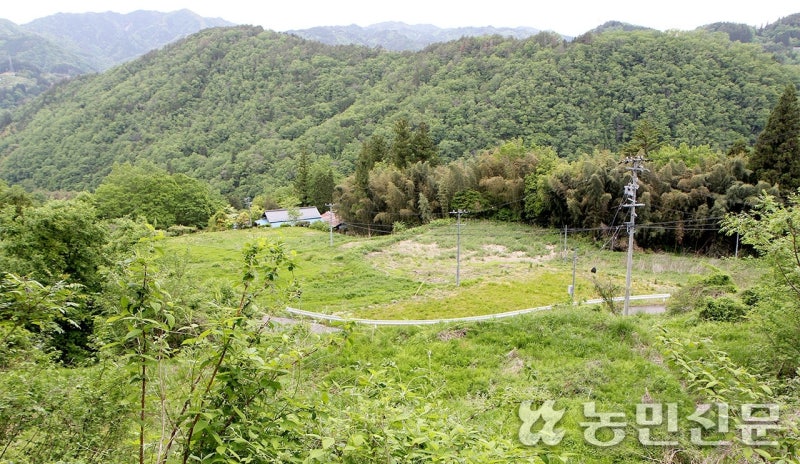 日 ‘상속토지 국가귀속’ 느는데…팔지도 빌려주지도 못한 논밭 수두룩, 왜?