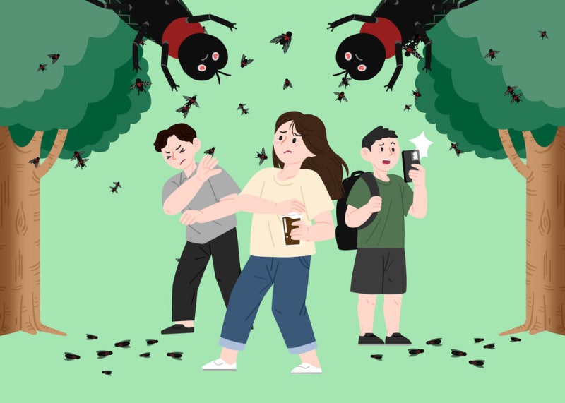 “우리 동네 <b>러브버그</b> 어떻게 확인하지?” 이 지도 온라인에서 인기
