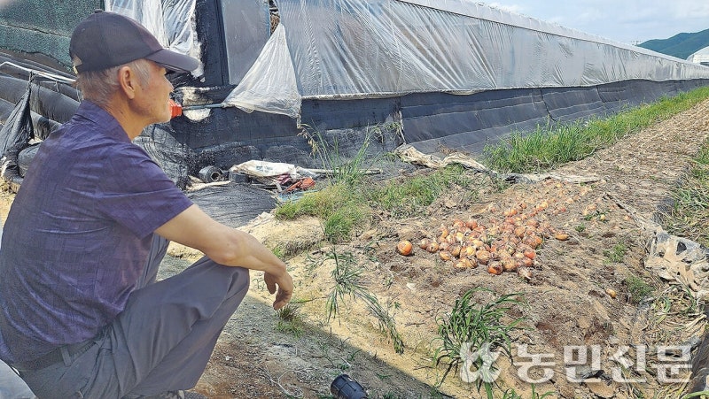 “땅값 절반으로 뚝”…그마저도 매수자 없어, 고령농 ‘막막’ [농지 전수조사 두달]