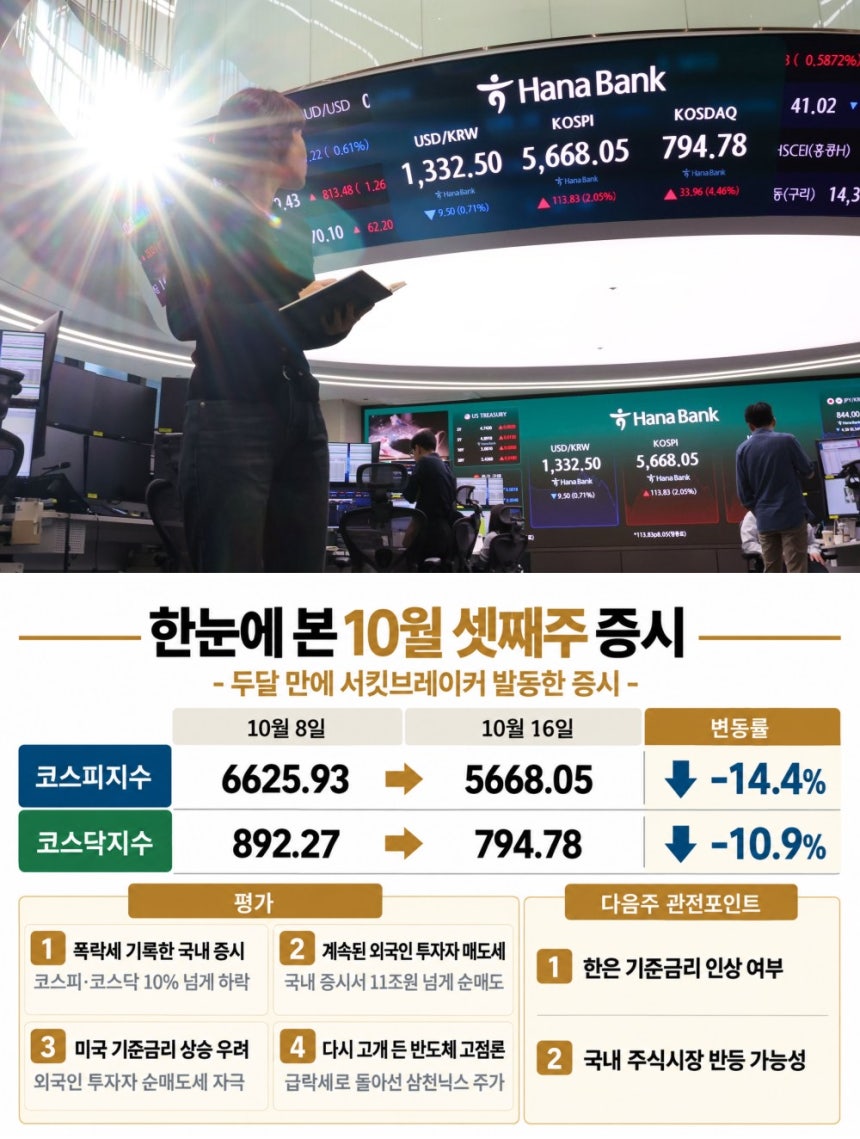 [그래픽 | 더스쿠프, 사진｜뉴시스]