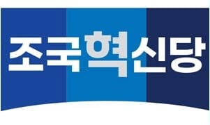 <b>조국혁신당</b> 핵심 당직자 "택시·노래방서 <b>성추행</b>"…상급자 고소